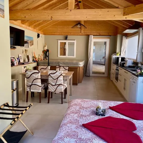 Studio Au Cosy Spa，位于Riedheim的酒店