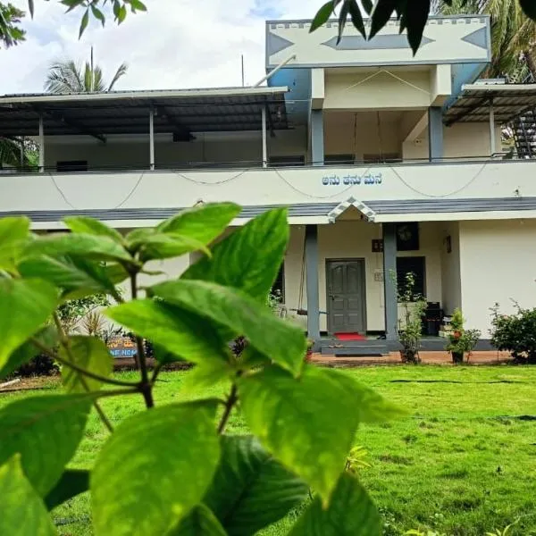 Serene Homestay,位于巴达米的酒店