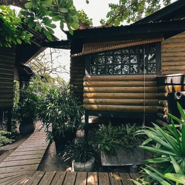 The Tree Cabins Quinta Pavo Real by AcoModo，位于San José的酒店