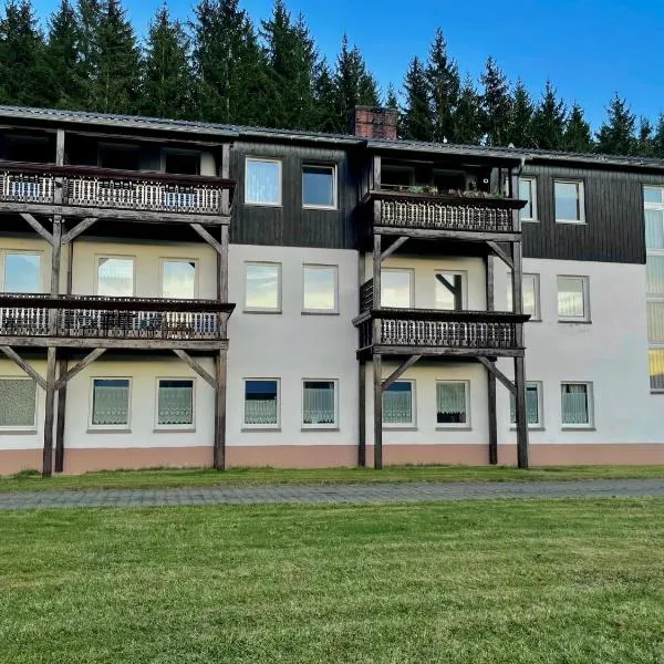 Ferienapartments Erzpanorama，位于约翰乔治城的酒店