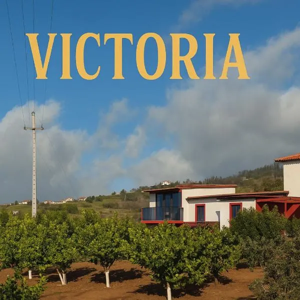 Victoria Tiny Stone House，位于蓬塔杜帕戈的酒店