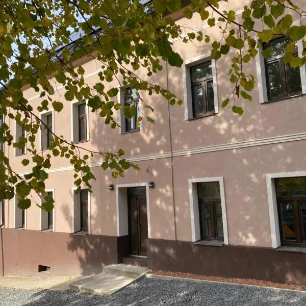 Apartmány Mikulov 45，位于Mikulov v Krušných Horách的酒店