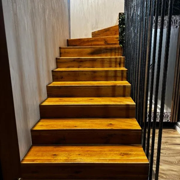 Muz，位于Filiaşi的酒店