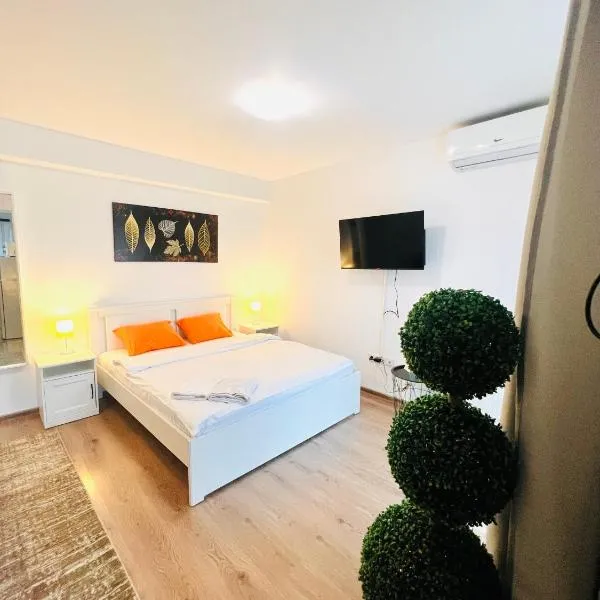 Airport Gardens Studio，位于奥托佩尼的酒店