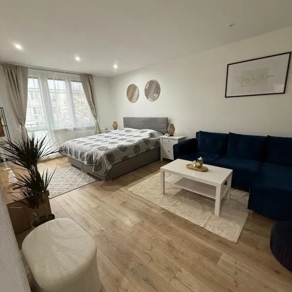 Boutique apartment in the center of Nitra，位于尼特拉的酒店