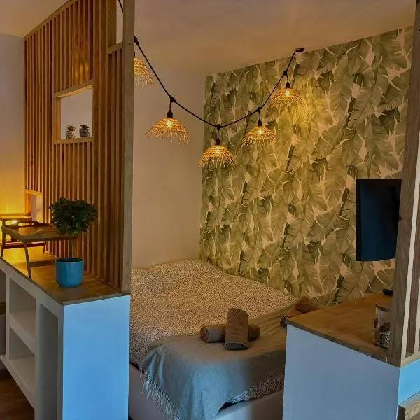 T1 cosy tout équipé, proche Airbus aéroport，位于科洛米耶的酒店