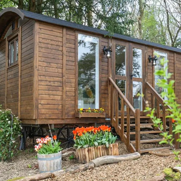 Sybs Farm Shepherds Hut，位于芬赫斯特的酒店
