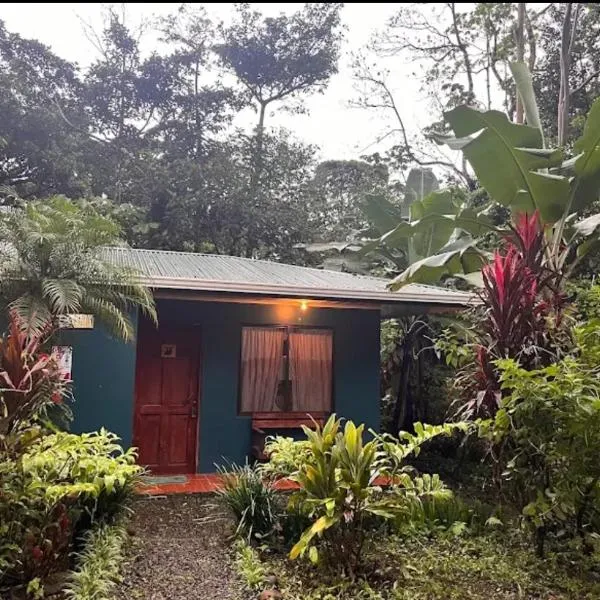 Finca Verde Lodge，位于Upala的酒店