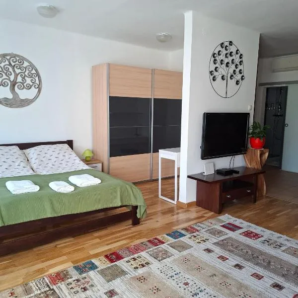 Centrum apartman，位于塞克萨德的酒店