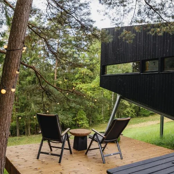 Blackview cabin，位于Kulautuva的酒店
