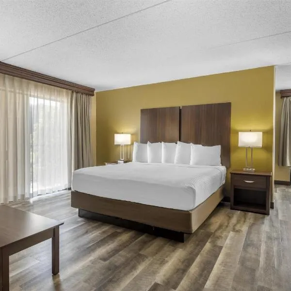 最佳西方广场酒店，位于鸽子谷的酒店