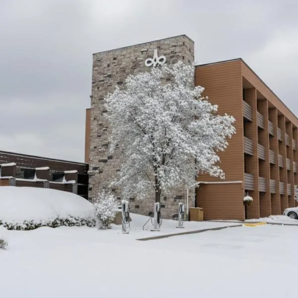 七岛市总督酒店，位于七岛市的酒店