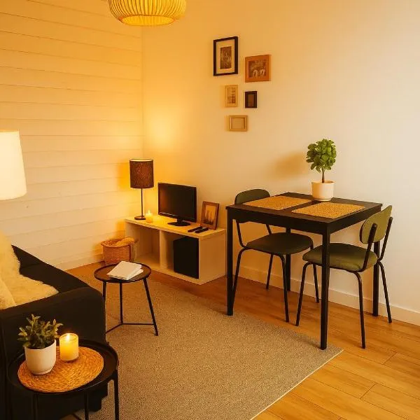 Somptueux appartement - Besançon，位于贝桑松的酒店