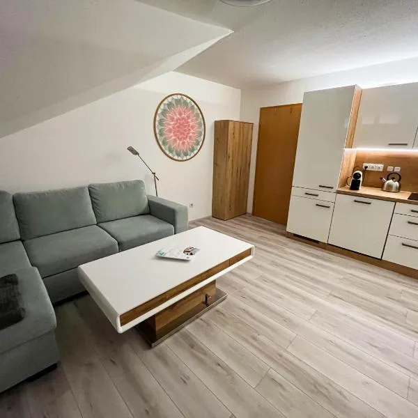 Appartement Bayerisch Eisenstein，位于拜尔里舍艾森施泰恩的酒店