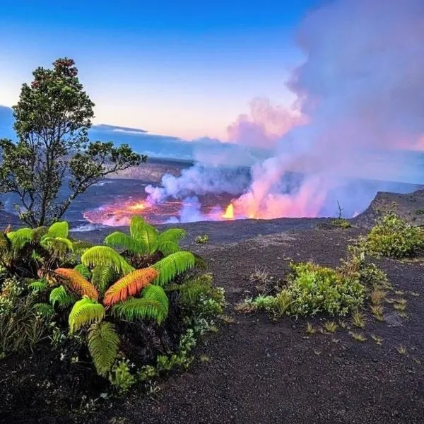 Hale Maluhia-Private 2 Bedroom home，位于凯阿奥的酒店