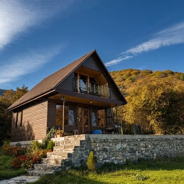 Pankisi Wooden Cottage，位于Akhmeta的酒店