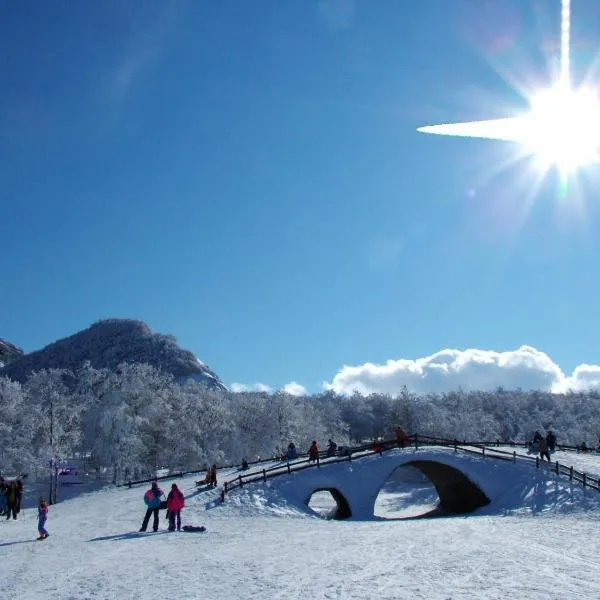 Albergo Conte Max，位于卡普拉科塔的酒店