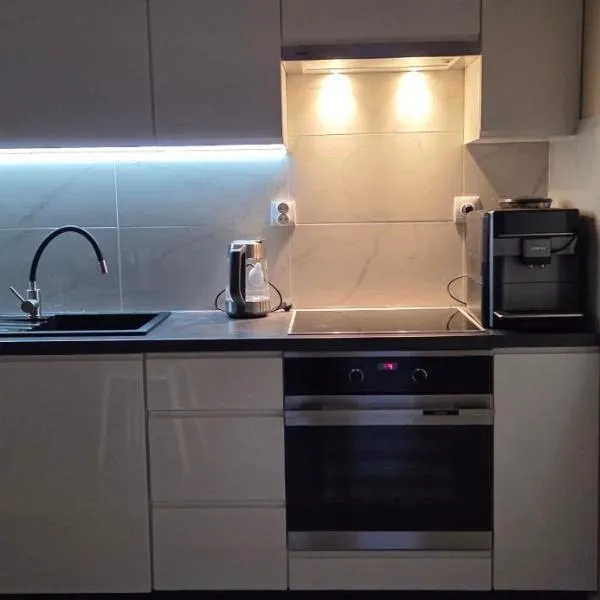 Apartament Srebrny Quick Park Oława，位于奥瓦瓦的酒店