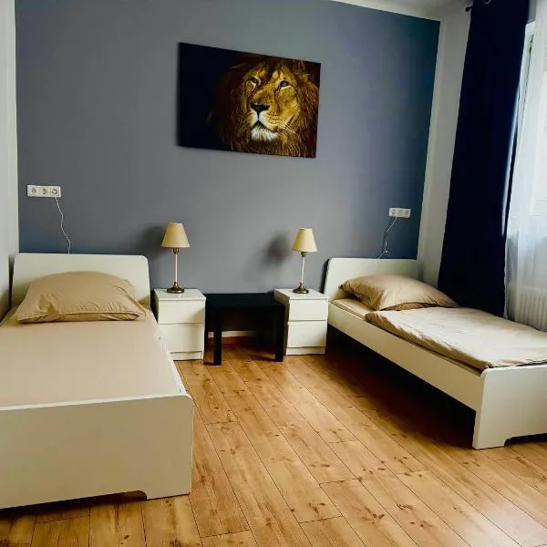 Meyben Apartment Mannheim Küche, TV, Waschmachine,位于Mannheim的酒店