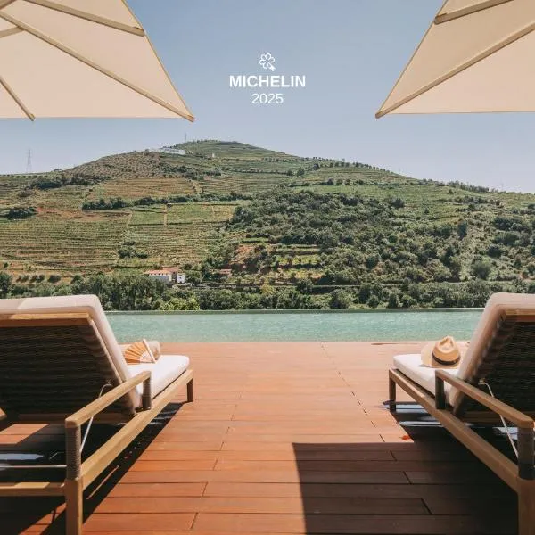 Torel Quinta da Vacaria - Douro Valley，位于比索达雷加的酒店