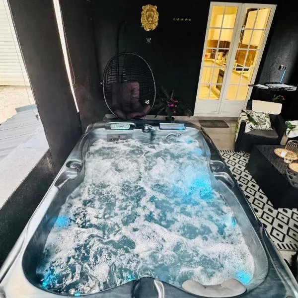 Dynasty luxury Spa Appartement 100M2 Jacuzzi Terrasse，位于奥尔泽姆的酒店