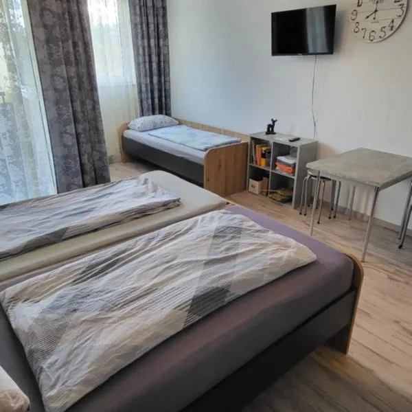 Steinhübel Uni-Nähe，位于洪堡的酒店