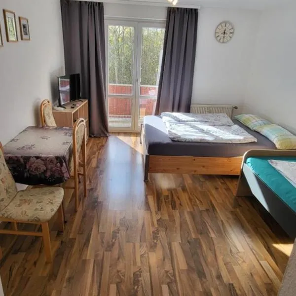 Apartment Homburg Uni-Nähe，位于洪堡的酒店