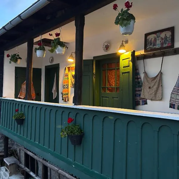 Casa Verde，位于Lupşa的酒店