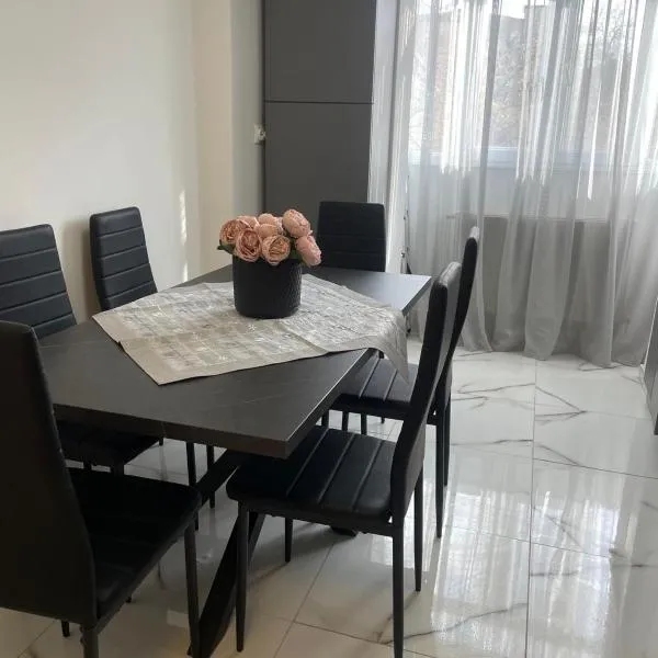 Apartamentul lui Radu，位于Caracal的酒店