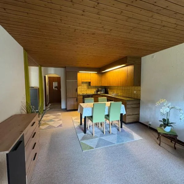 Mountain View Lodge，位于弗拉里的酒店