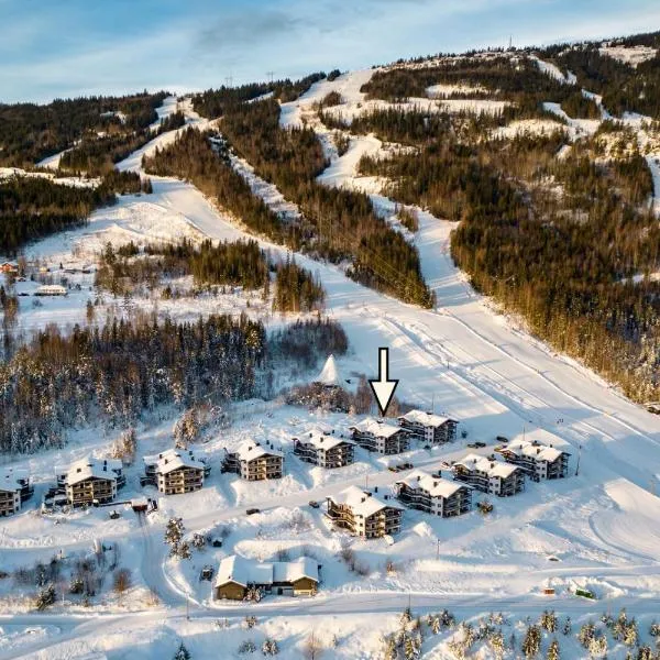 Norefri - Norefjell，位于Noresund的酒店