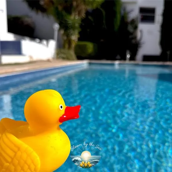 Cozy Escape in Peyia, Sea Caves，位于佩亚的酒店