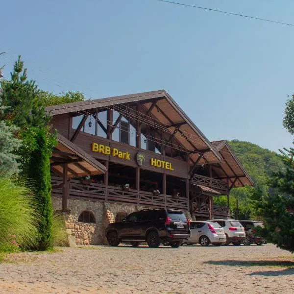 BRB Park Hotel，位于Vizhenka的酒店