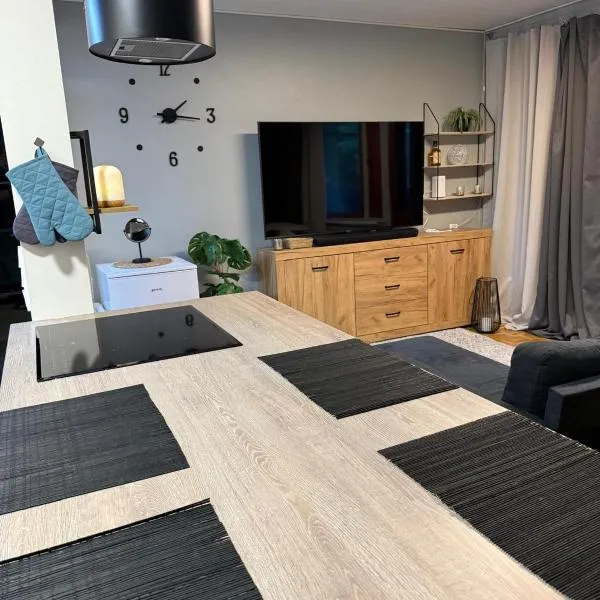 Compact beautiful apartment with sauna，位于库萨莫的酒店