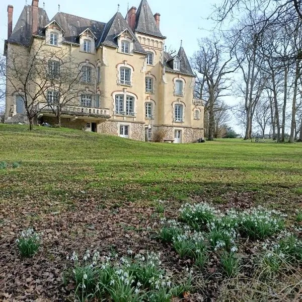 Château de Villechauvon，位于Vatan的酒店