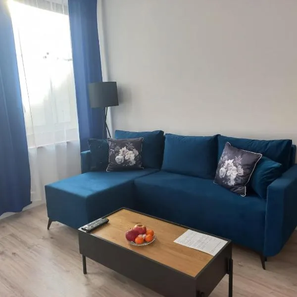 Apartament w centrum miasta，位于Czarne的酒店