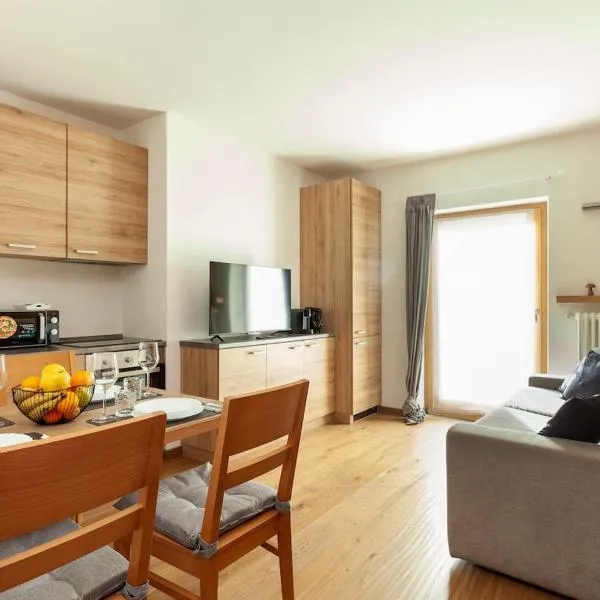 Chalet moderno Ponte di Legno - fronte piste，位于蓬泰迪莱尼奥的酒店