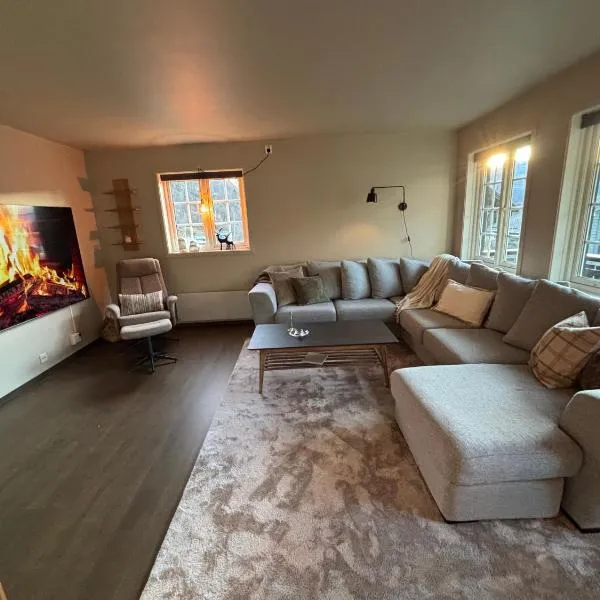 Røldal ski in ski out，位于Håra的酒店