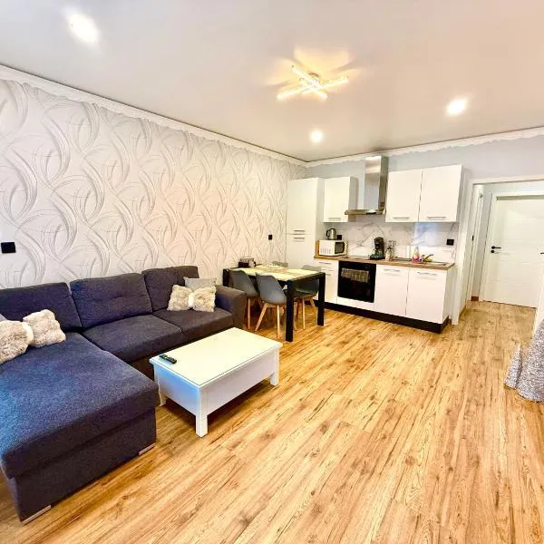 Appartement en centre-ville，位于布里埃的酒店