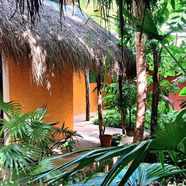 Casa Don Diego，位于图卢姆的酒店