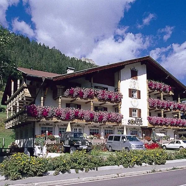 Hotel Garni Soreie，位于博萨迪法萨的酒店