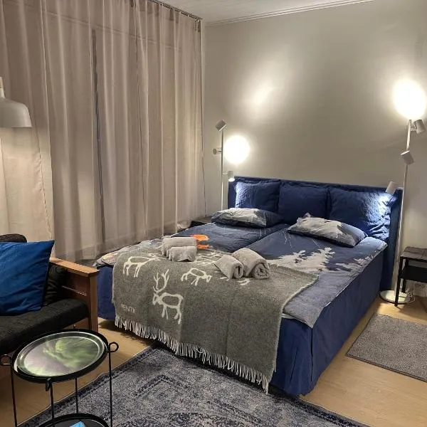 Royal Blue Ivalo，位于伊瓦洛的酒店