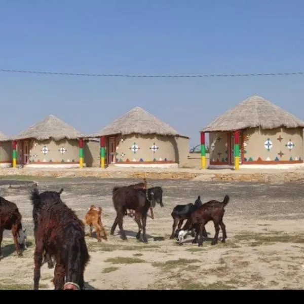 Rann Roshni homestay，位于Bherandiāla的酒店