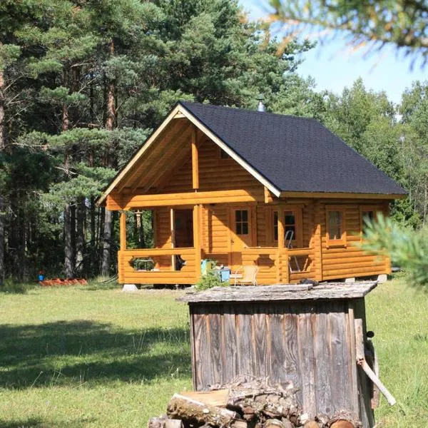 Nature Getaway Holiday Home，位于Metsküla的酒店