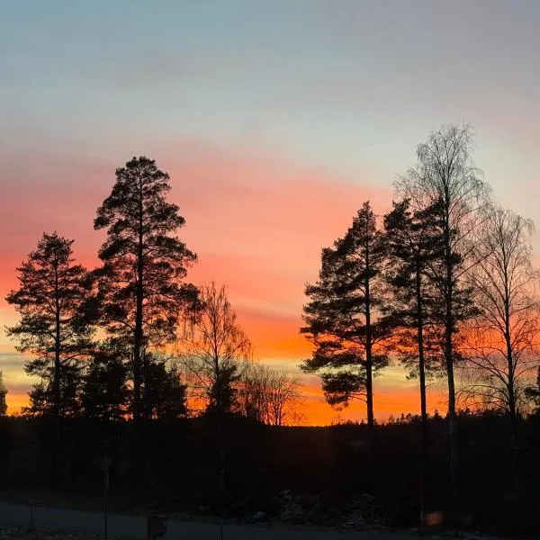 La Forêt Hotel，位于Järna的酒店