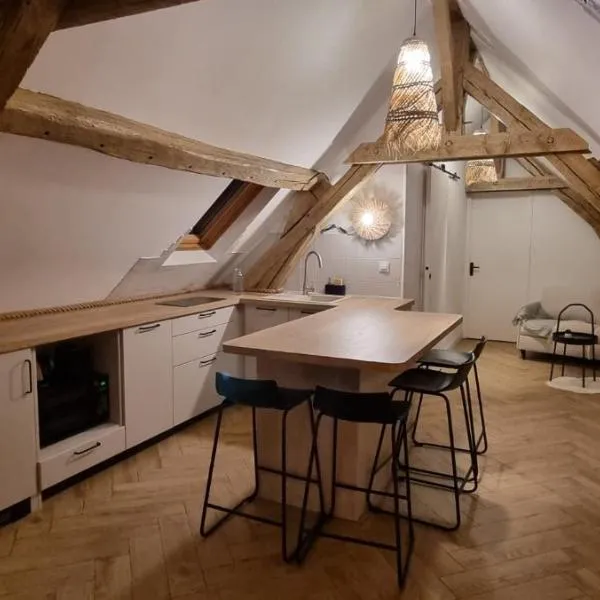 Charmant appartement 2 pièces, 1 chambres，位于克莱蒙的酒店