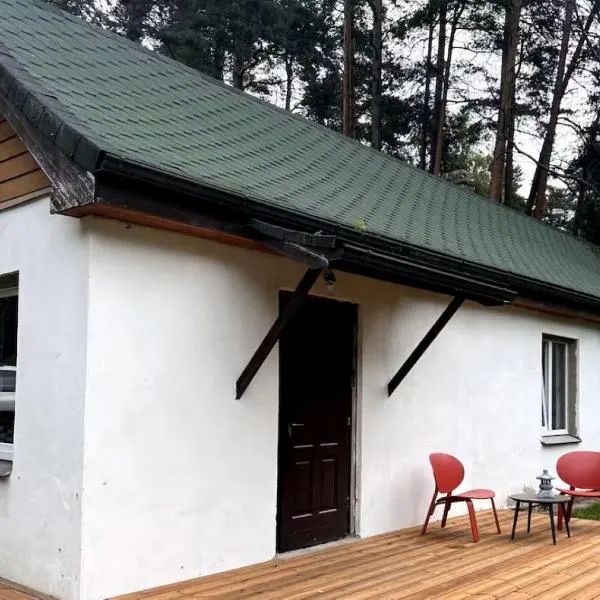 Peace, Pines & Pure Air，位于Vangaži的酒店