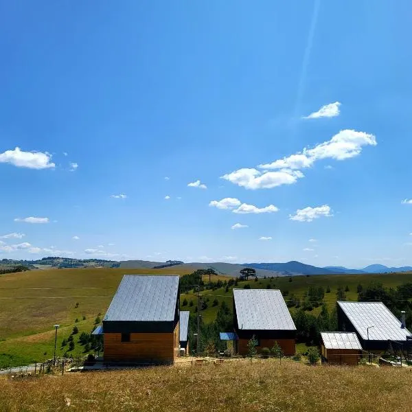 HUUT，位于兹拉蒂博尔的酒店