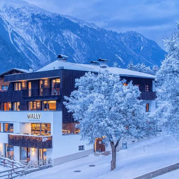 Wally Berg-Appartements，位于察姆斯的酒店