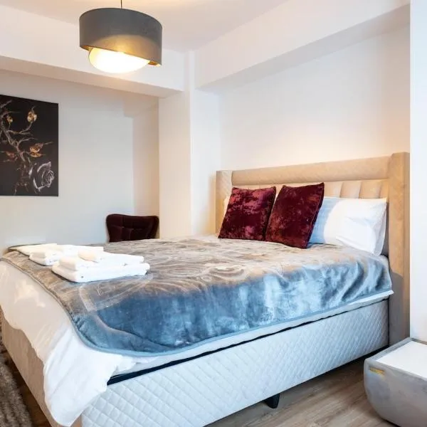 Apartament de închiriat Accommodation nr 12，位于苏恰瓦的酒店